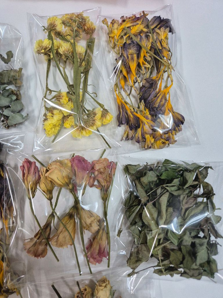 드라이플라워 캔들용 하바리움 석고방향제용 일괄만원--2