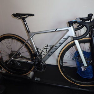 캐니언 얼티밋 cfr 프레임셋