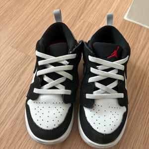 나이키 조던 알트 신발(160)