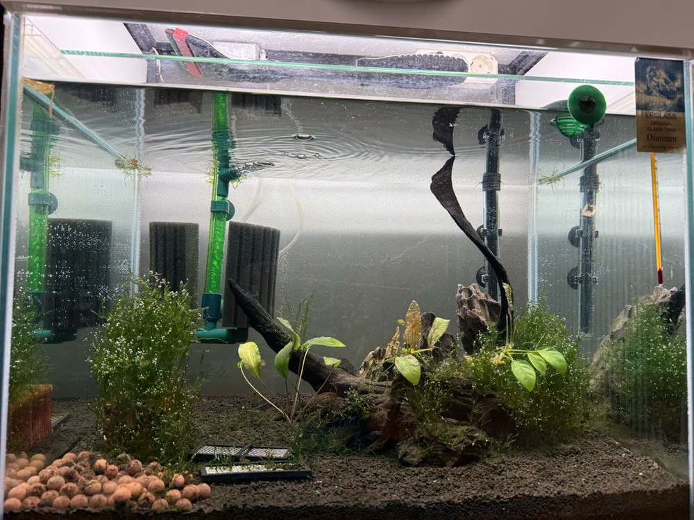 2단 축양장 풀세트--1