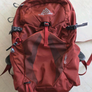 대전 서구 25년형 신형 그레고리 시트로24