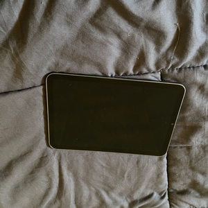 (아이패드 미니6 256기가,펜슬포함)182호