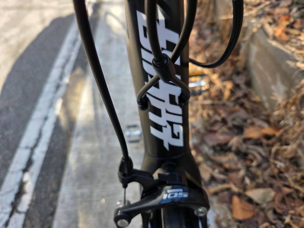 (2019년구매)자이언트 tcr 어드밴스2 105급 풀카본 로드자전거 m사이즈 이미지