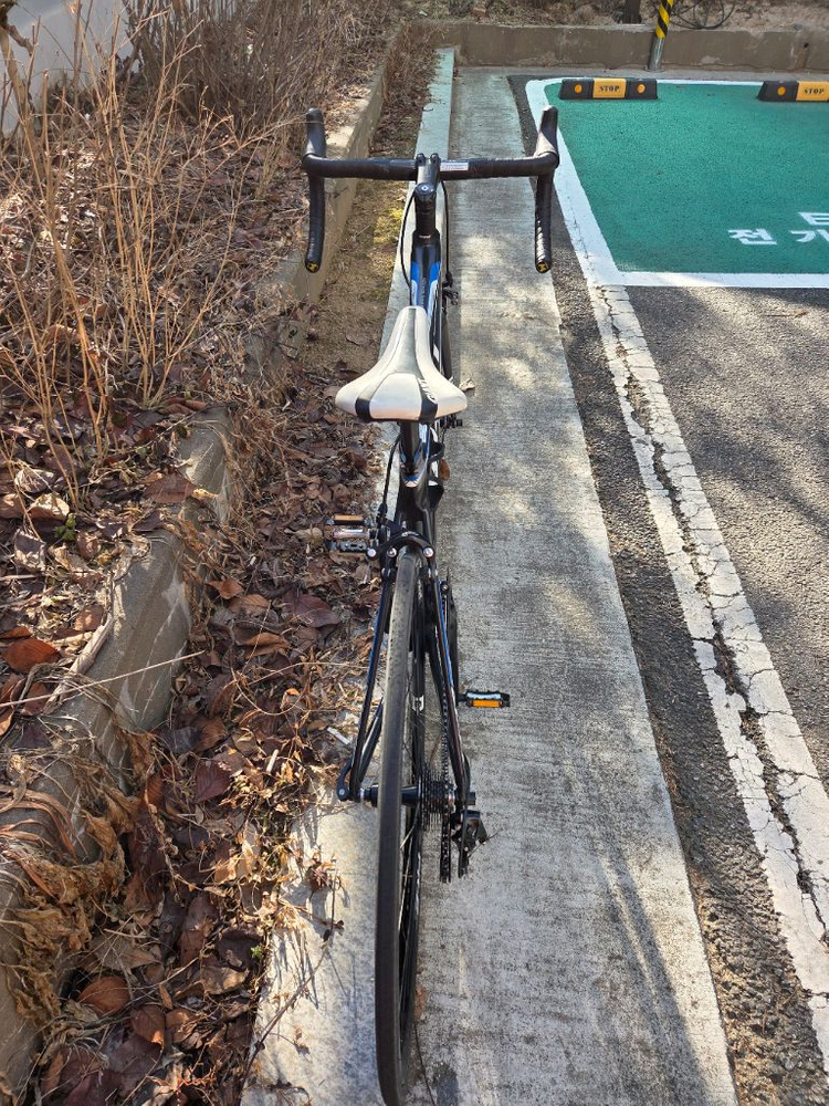 (2019년구매)자이언트 tcr 어드밴스2 105급 풀카본 로드자전거 m사이즈 이미지