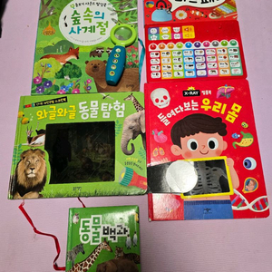 유아 블루래빗 자연관찰 사운드북 팝업북 보드북 일괄여러개
