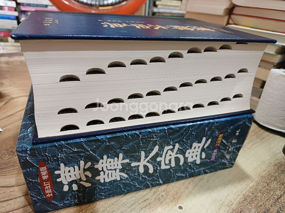 민중 한한 대자전 (특대)--1