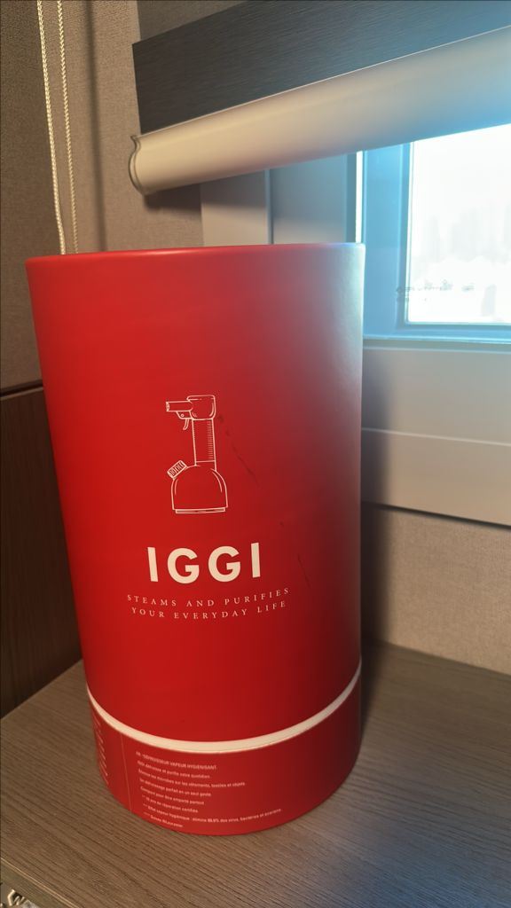 로라스타 이기 스팀다리미--0