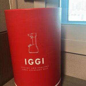 로라스타 이기 스팀다리미