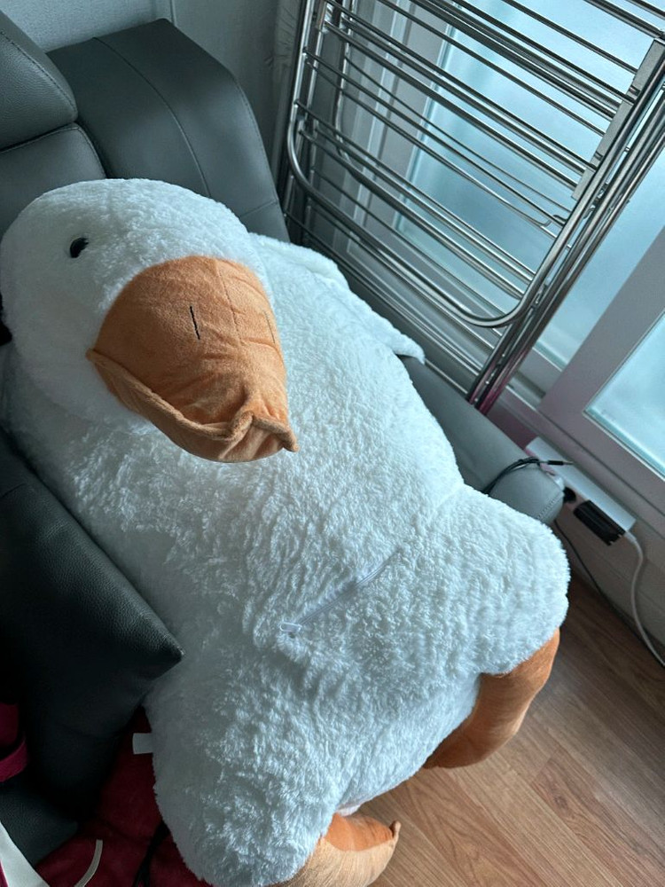 새것) 큰 대왕오리인형 190cm 초 대형 거위 애착인형 모찌 동물 수면유도인형--1