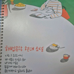 해법문학 현대시, 현대소설 15개정 일괄 이미지