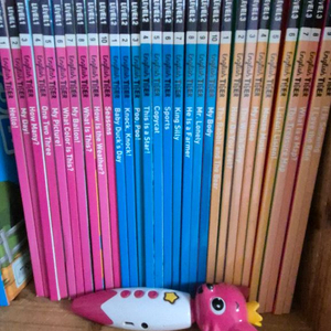 잉글리쉬타이거