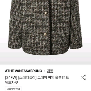 아떼 바네사브루노