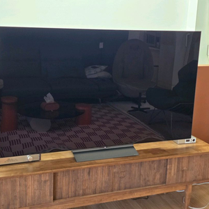 엘지 OLED 65인치 TV