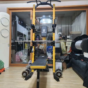 반석 벤치프레스 하프렉 치닝디핑 세트로 팝니다