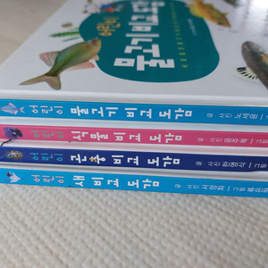 진선아이) 어린이 비교도감 4권 2만원
