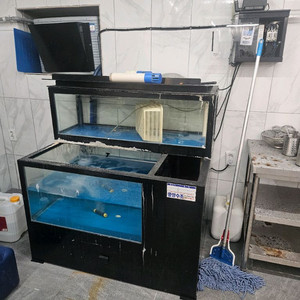 활어 수족관 팝니다