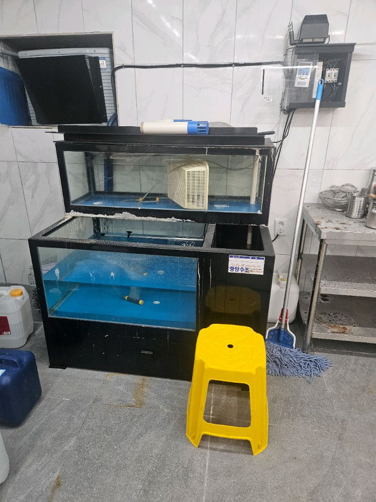 활어 수족관 팝니다--1