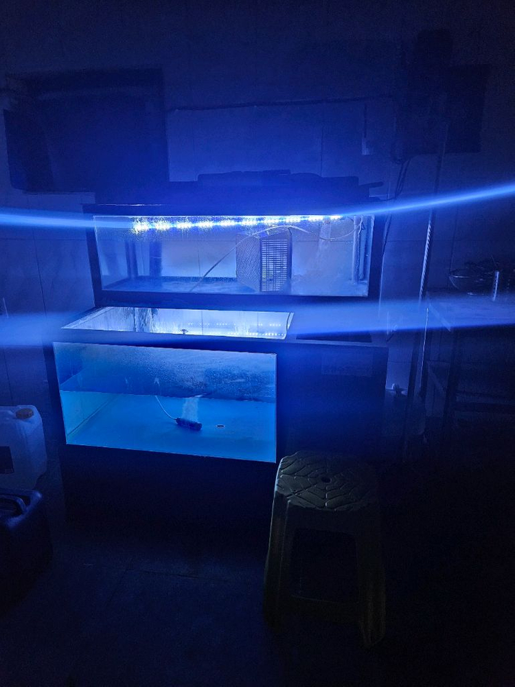 활어 수족관 팝니다--2