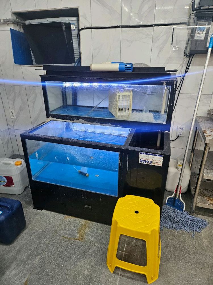활어 수족관 팝니다--3