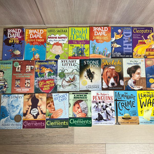 어학원에서 수업 교재로 사용했던 영어원서 22권 일괄판매합니다.