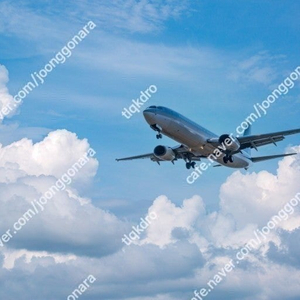 국내선 항공권 20% 할인 판매 (모든 항공사 가능)