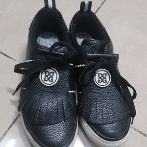 지포어 23시즌 골프화 245/ 어뉴골프화 250