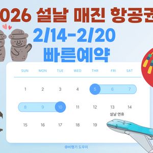 2026년 설날) 제주-김포/부산/청주/대구 비행기표 구해드립니다.