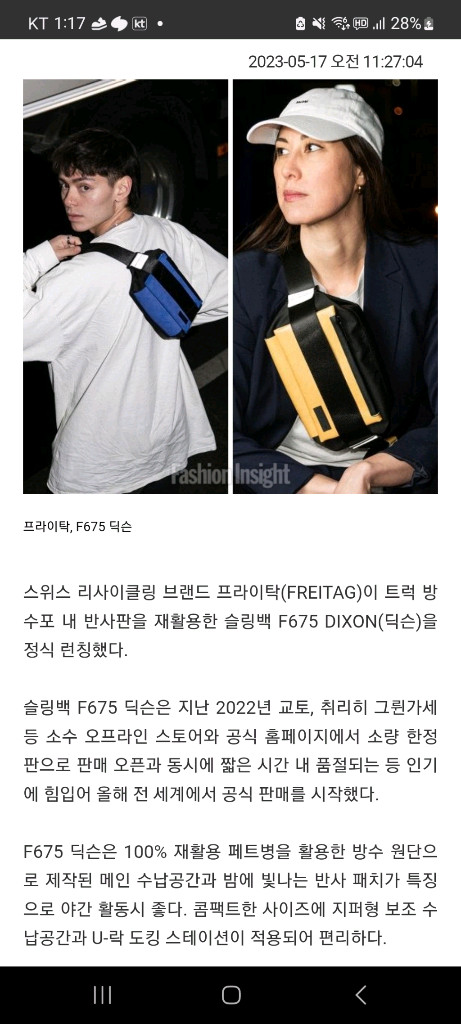 프라이탁 딕슨 검베--4