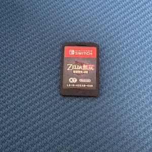 닌텐도 스위치 젤다무쌍 대재앙의 시대 알칩