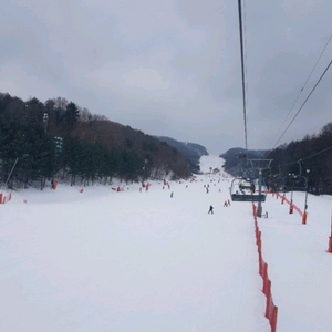 휘닉스파크1월10.17.24.31(토)20평.30평