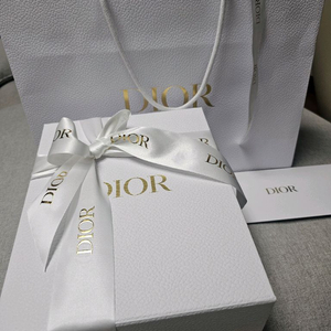 디올 오블리크 새들 미니백 이미지