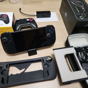 휴대용 게임기 1TB + 프로콘 세트