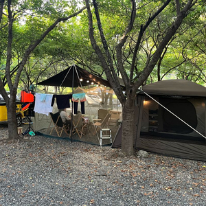 폴라리스 레오알파+렉타타프+폴대세트