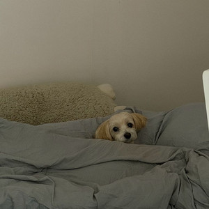 lg인터넷+cctv양도합니다 이미지