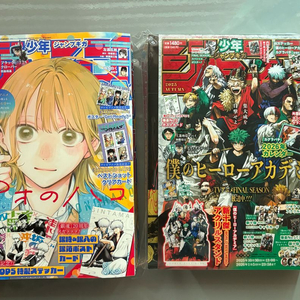 나히아2025기가점프어텀 미개봉, 2025기가점프윈터 일괄