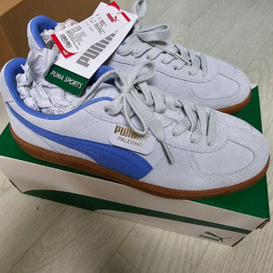 푸마 팔레르모 255