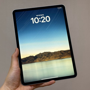 아이패드 프로 11인치 1세대 256G 셀룰러 S급 실버 단품