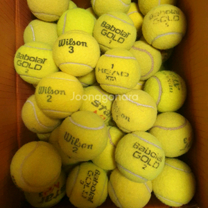 테니스공 65개 팝니다