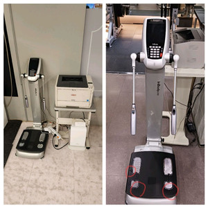 디랙스,헤라,프로테우스,인바디