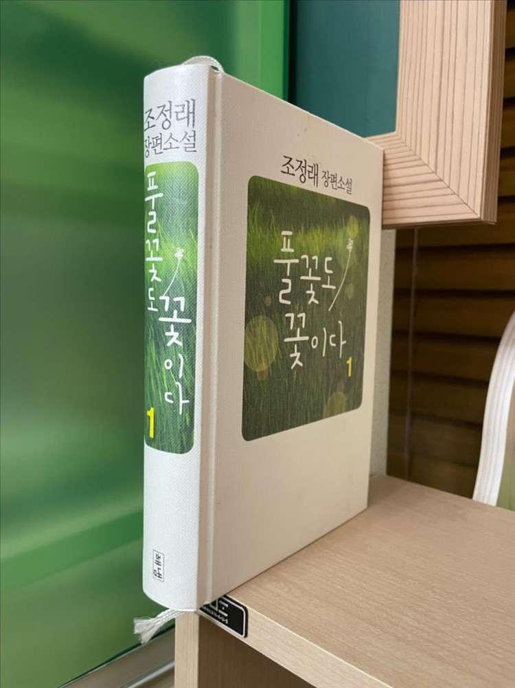 풀꽃도 꽃이다 1 - 조정래 이미지