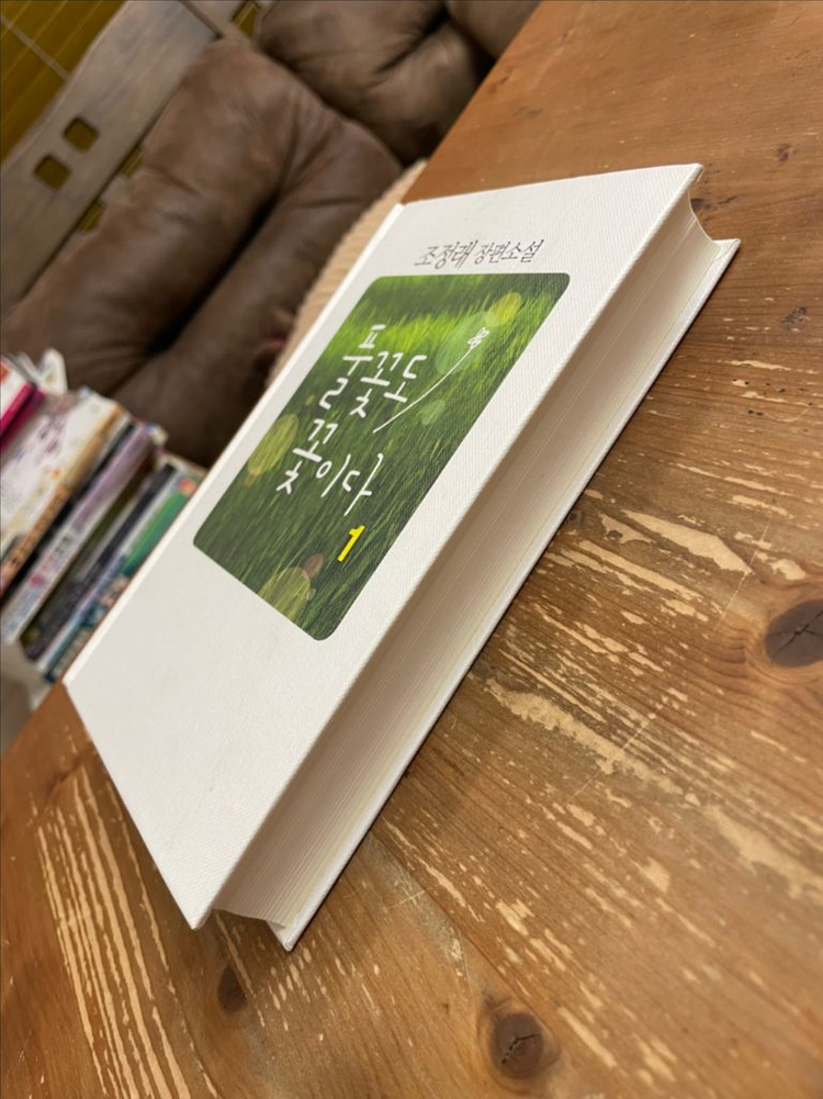 풀꽃도 꽃이다 1 - 조정래 이미지