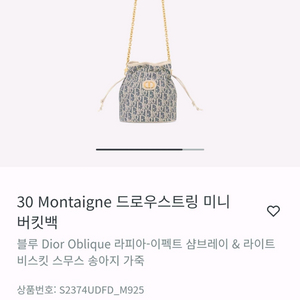 디올 몽테인 미니버킷백(1회착용)