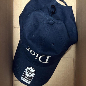 디올 볼캡 nptsss 47