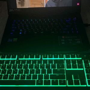 msi gp66 leopard 3080팝니다