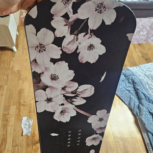 2223 아벨 체리블라썸 162w 원티 팝니다