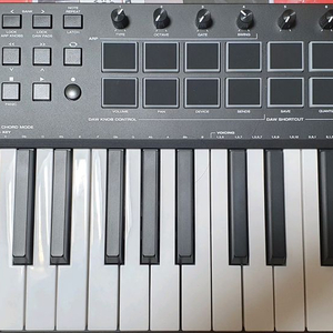 엠오디오 OXYGEN PRO 25 마스터키보드 팝니다.