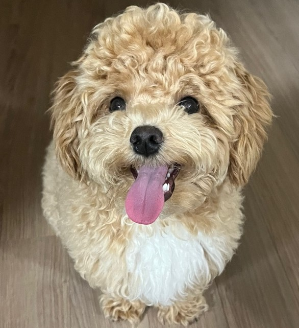 프로필 이미지