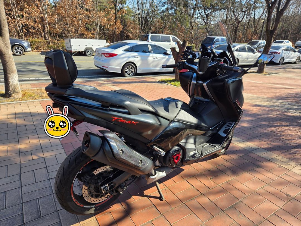 야마하 티맥스DX 이미지