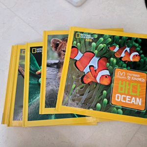 내셔널지오그래픽 아동 잡지 5권 세트