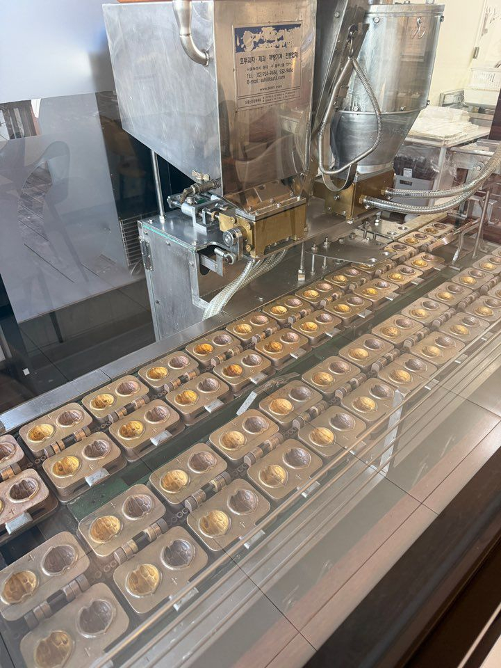서일 호두과자기계 & 호두과자 자동 포장기계 이미지